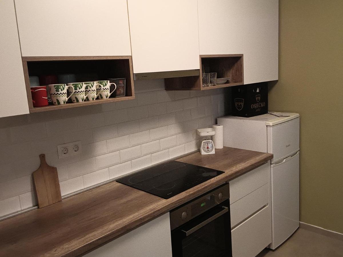Apartman Terra Centar, Free Parking Όσιγιεκ Εξωτερικό φωτογραφία