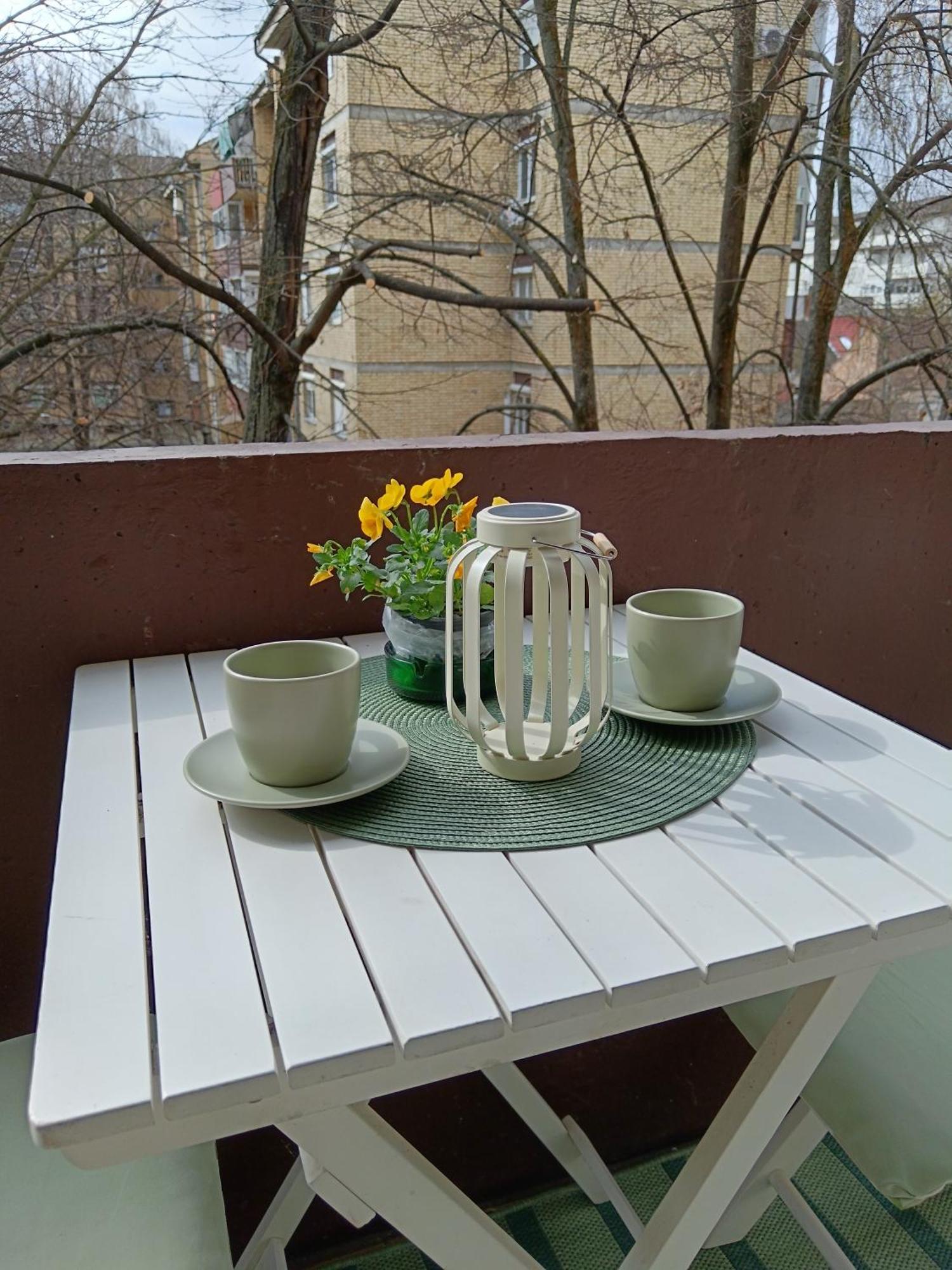 Apartman Terra Centar, Free Parking Όσιγιεκ Εξωτερικό φωτογραφία